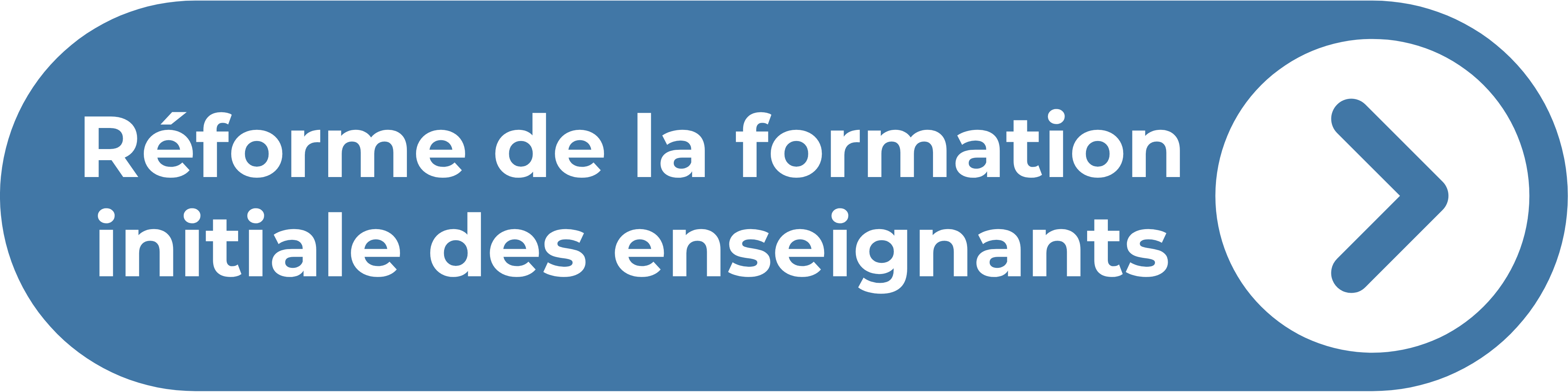 /formations/pedagogique-rfie