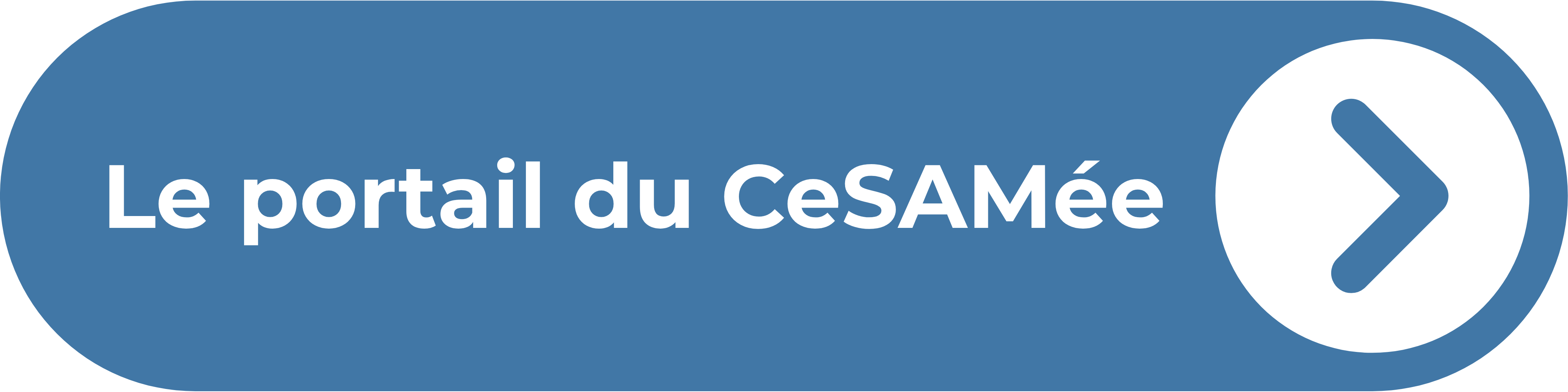 Accès au portail du CeSAMée