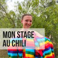 Mon stage de designer textile au Chili