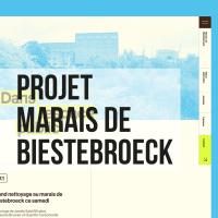 Site Web