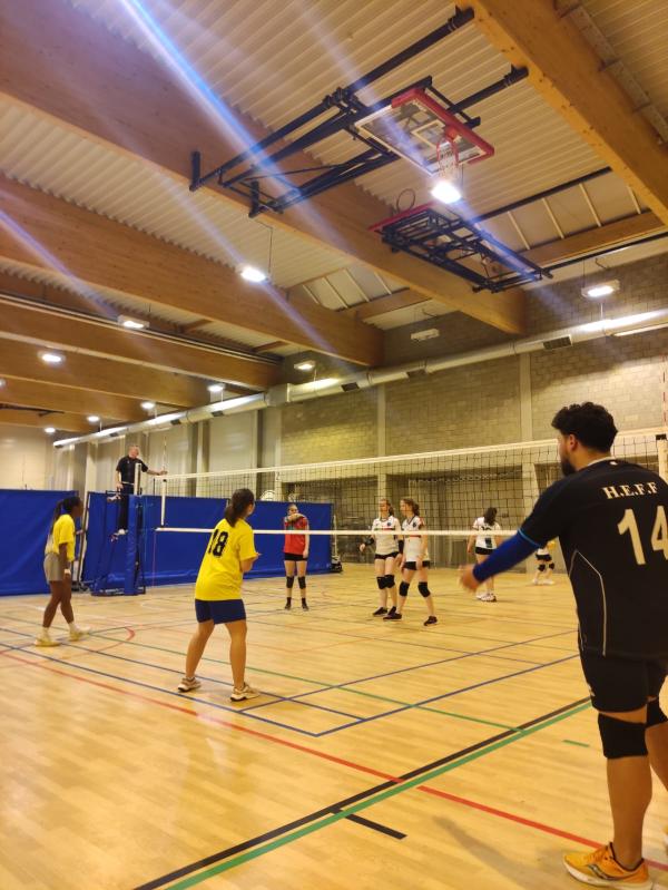 Volleyball