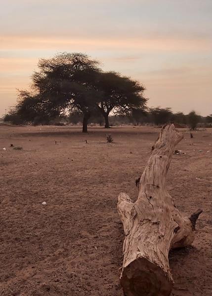 Ensemble sur le même banc 2024