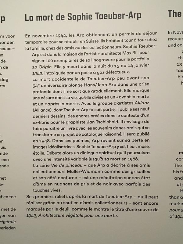 Exposition Hans/Jan Arp et Sophie Taueber- Arp