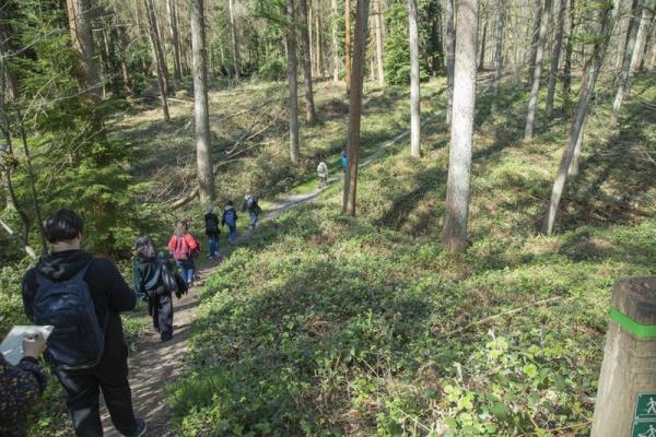 Sortie forêt de Soignes