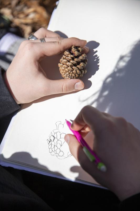 Sortie forêt de Soignes