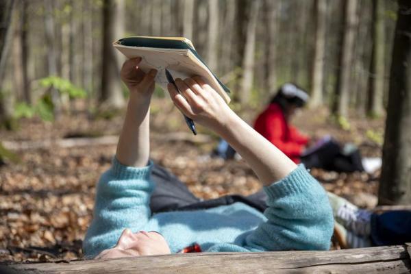 Sortie forêt de Soignes