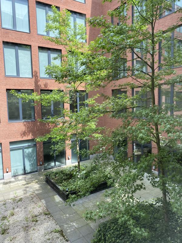 Nouvelle implantation