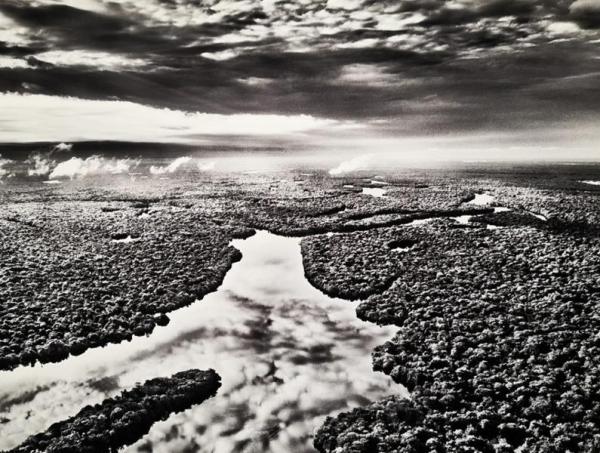 Exposition photos Sebastiao Salgado