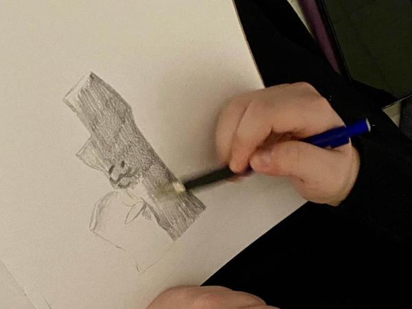 Expositions Mons et La Louvière