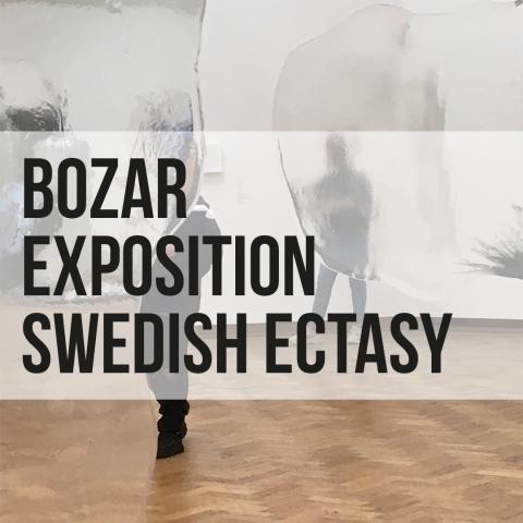 Visite exposition SWEDISH ECTASY