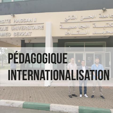 Le département pédagogique mise sur l’internationalisation