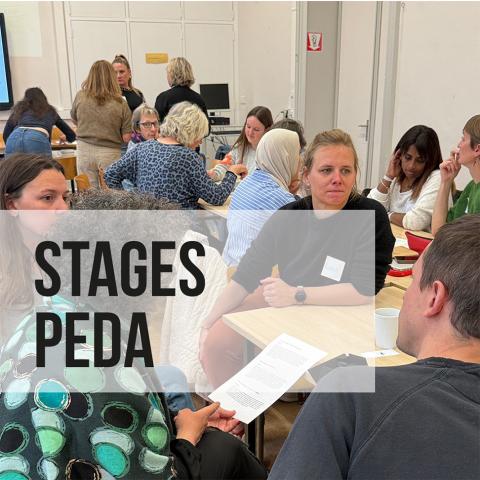 Matinées stages formation initiale