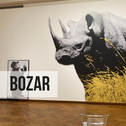 Exposition de John Baldessari